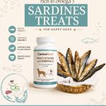 CK's Kitchen - Sardines treat - 100 grams